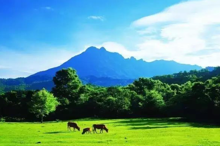 五指山