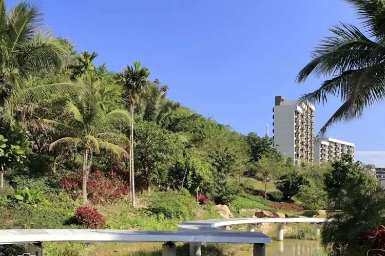 万科森林度假公园实景图3.jpg
