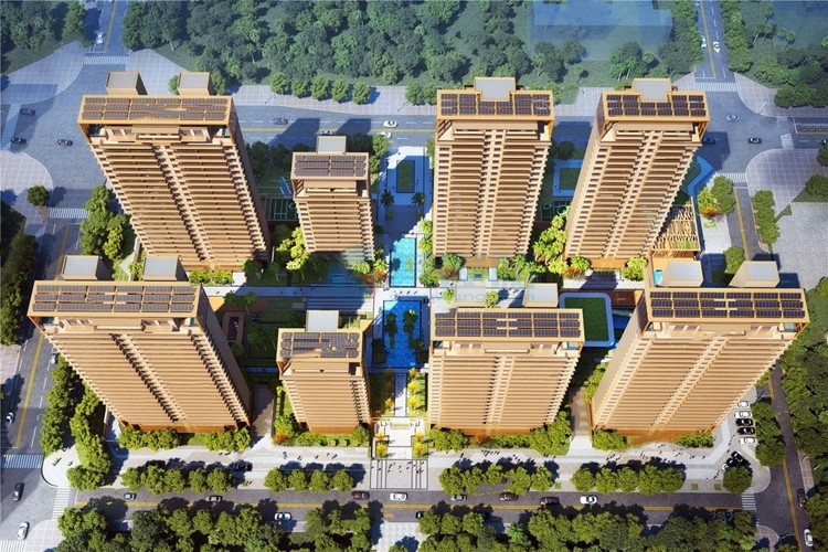 阳光金典