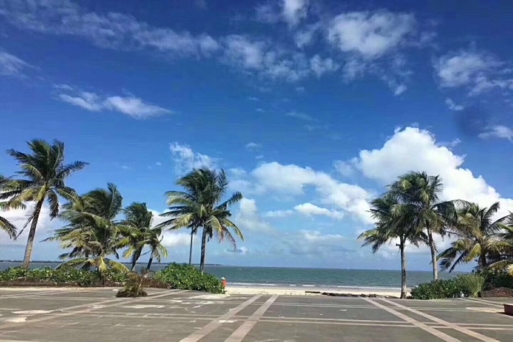 一线海景