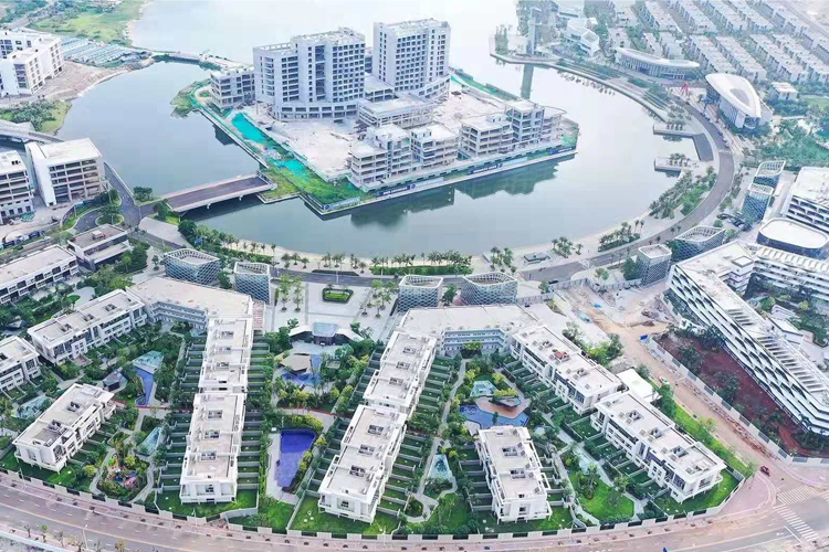 实景图