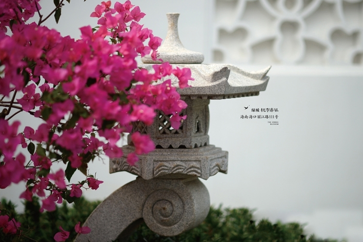 绿城桃李春风实景图