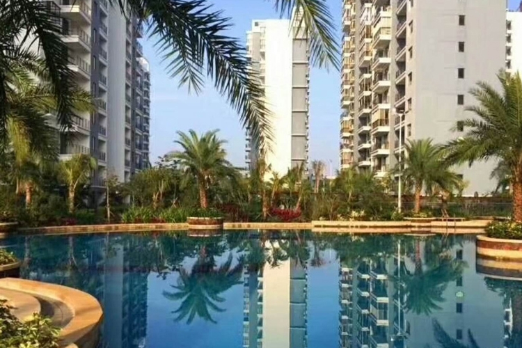 椰风水漾人家实景图