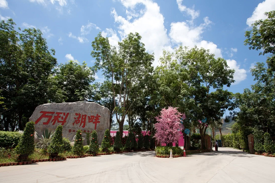 万科森林度假公园-实景图