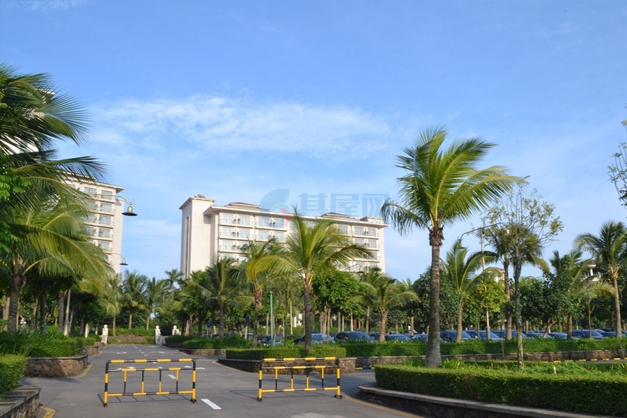 观澜湖片区-实景图