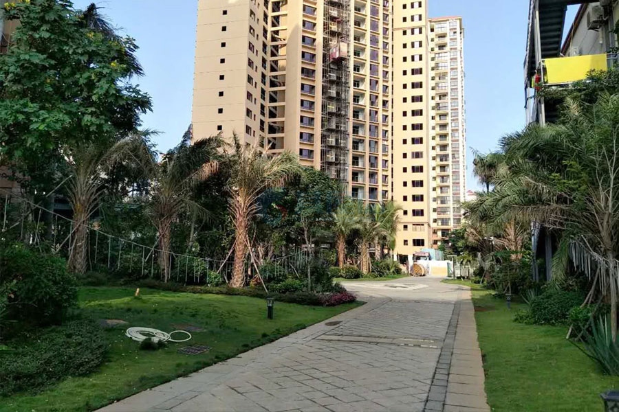 园林景观实拍