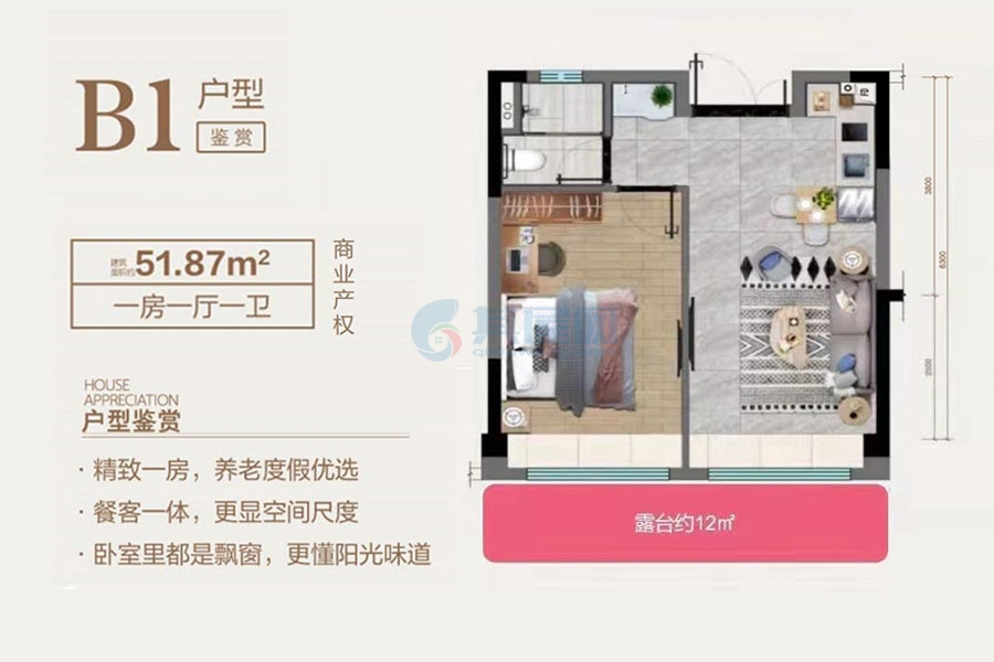 文昌碧桂园椰城   一房户型   建面51.87㎡