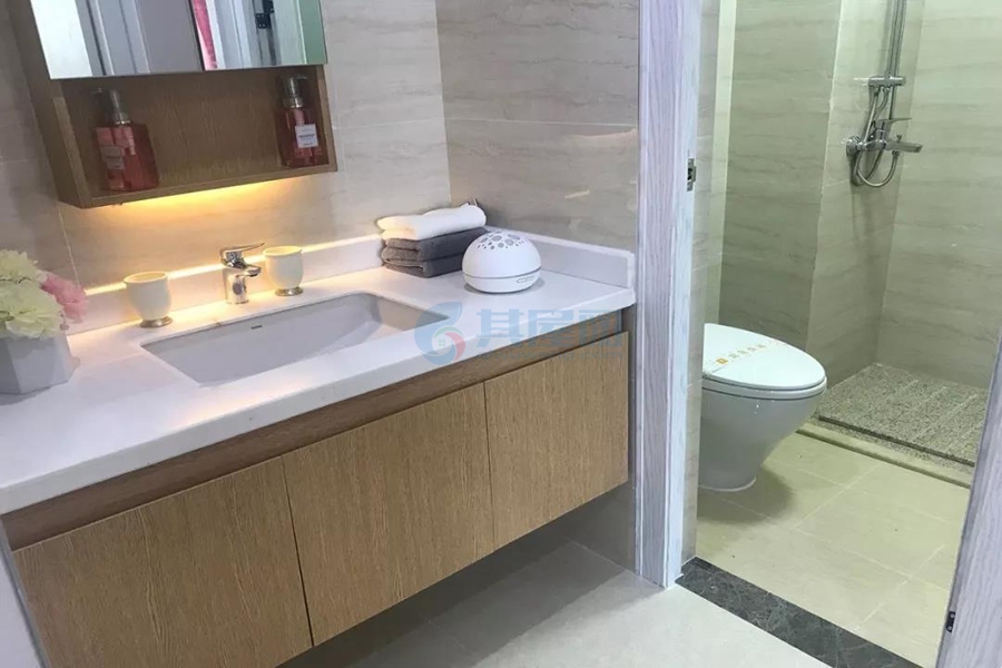 A1户型约60㎡样板间
